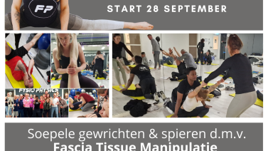 Een groep mensen die samen stretchen en bewegen tijdens een flexibiliteits- en mobiliteitstraining.